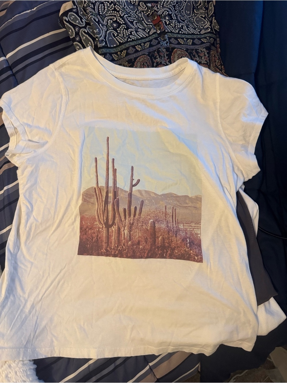 Universal thread creamy White Graphic Tee with Desert Cactus Print